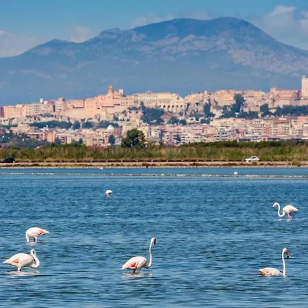 Sardegna Relax House